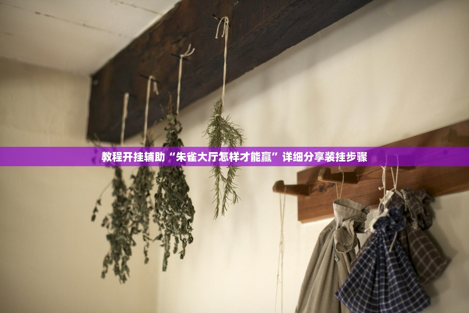 教程开挂辅助“朱雀大厅怎样才能赢”详细分享装挂步骤