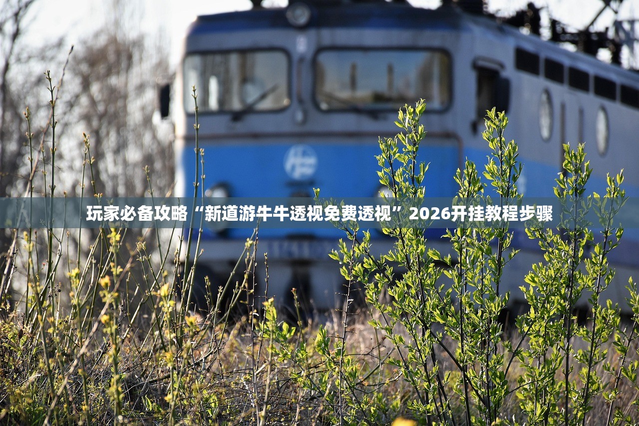 玩家必备攻略“新道游牛牛透视免费透视	”2026开挂教程步骤