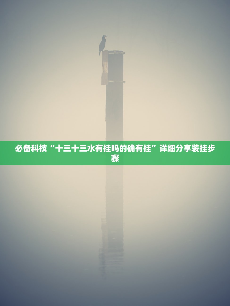 必备科技“十三十三水有挂吗的确有挂”详细分享装挂步骤