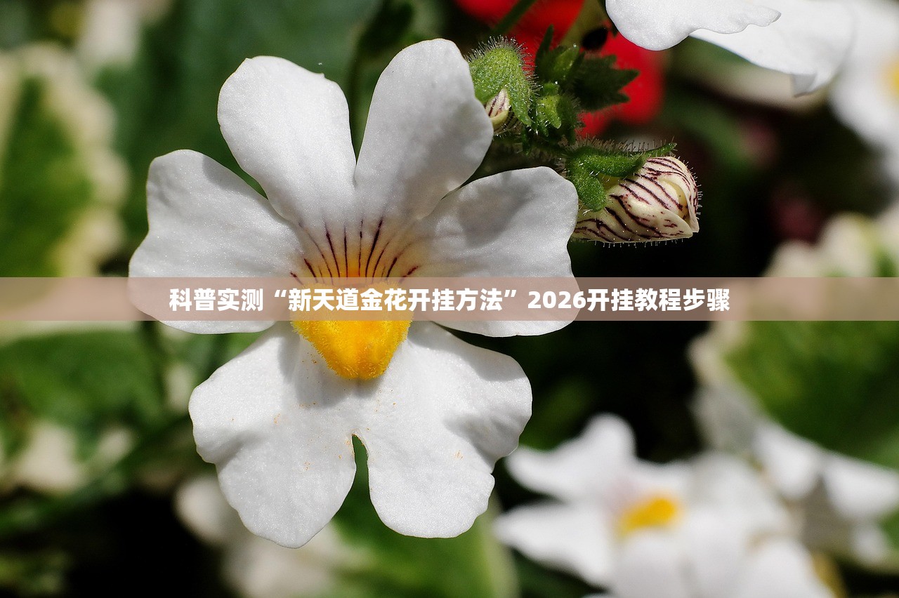 科普实测“新天道金花开挂方法	”2026开挂教程步骤