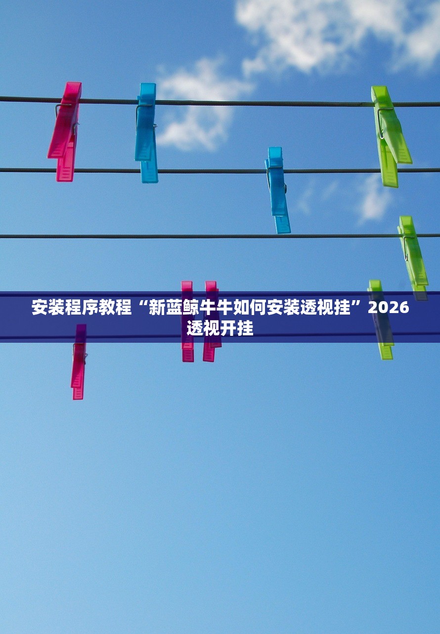 安装程序教程“新蓝鲸牛牛如何安装透视挂	”2026透视开挂