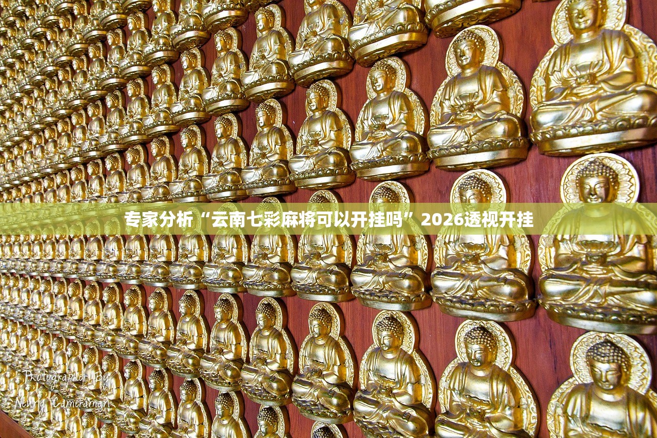 专家分析“云南七彩麻将可以开挂吗”2026透视开挂