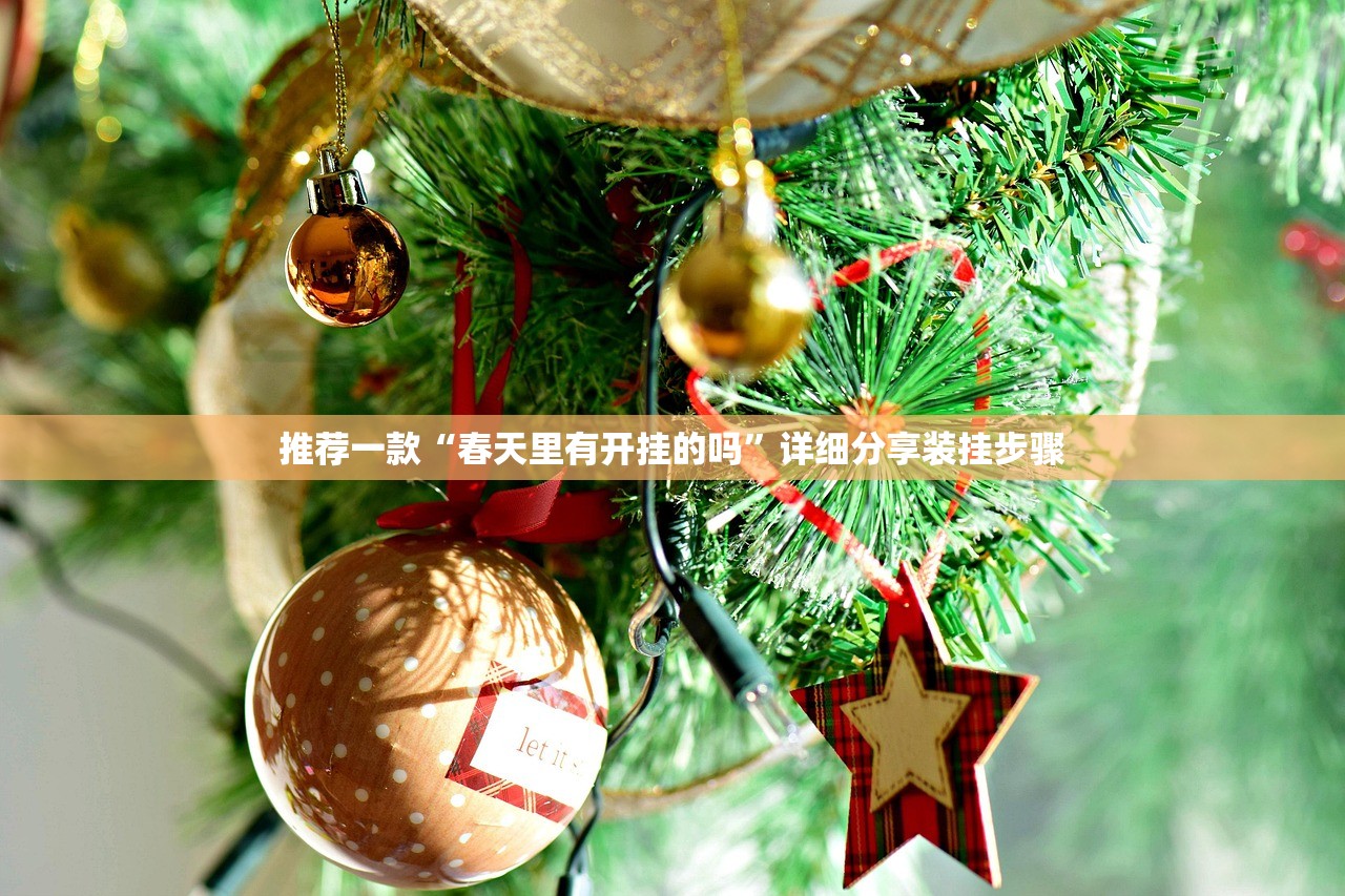 推荐一款“春天里有开挂的吗	”详细分享装挂步骤