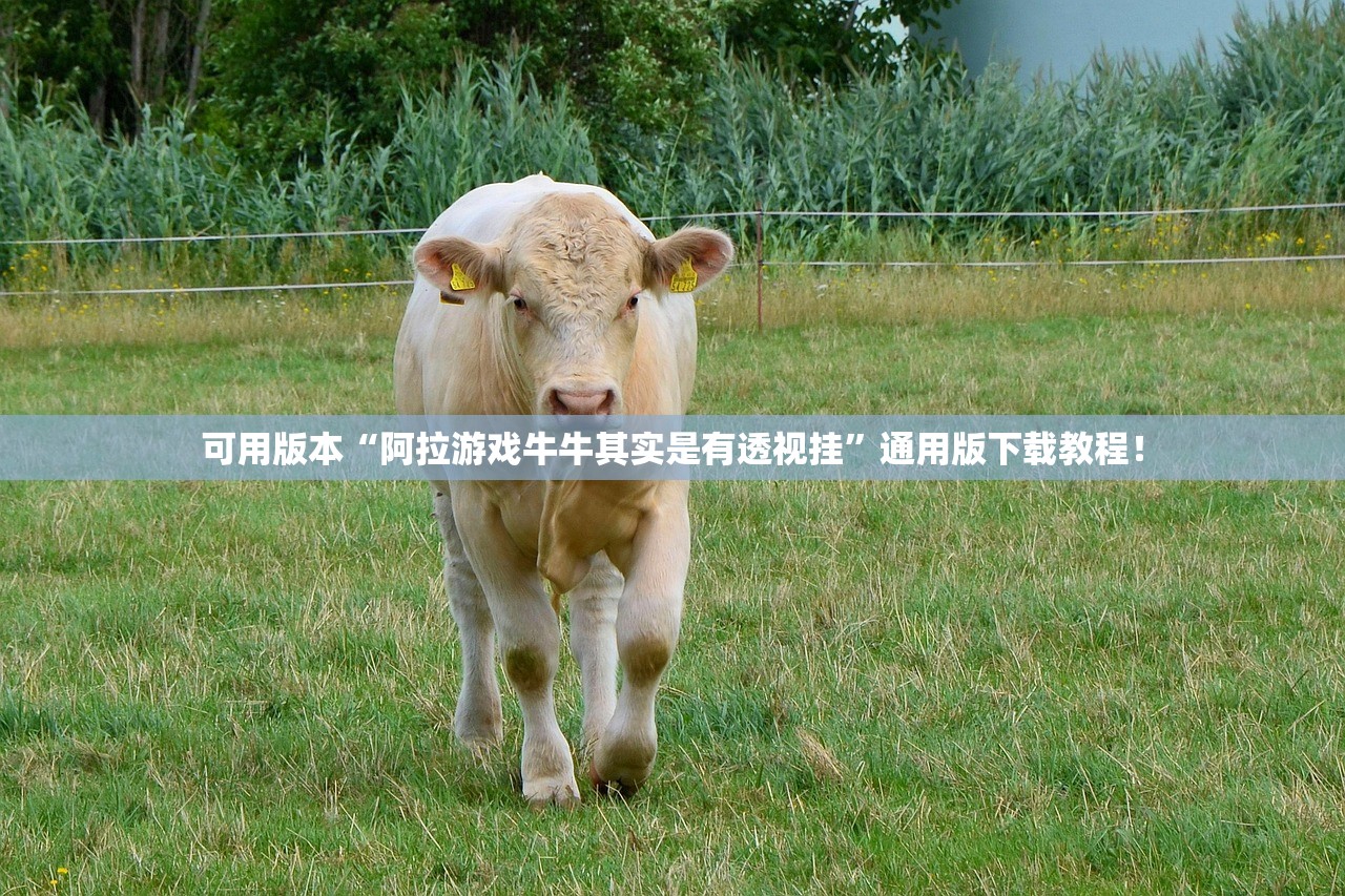 可用版本“阿拉游戏牛牛其实是有透视挂”通用版下载教程！